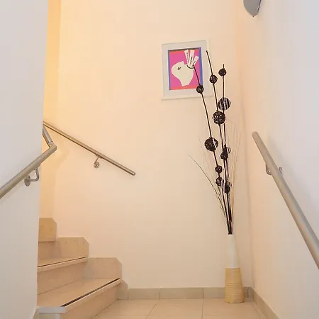 Verbena