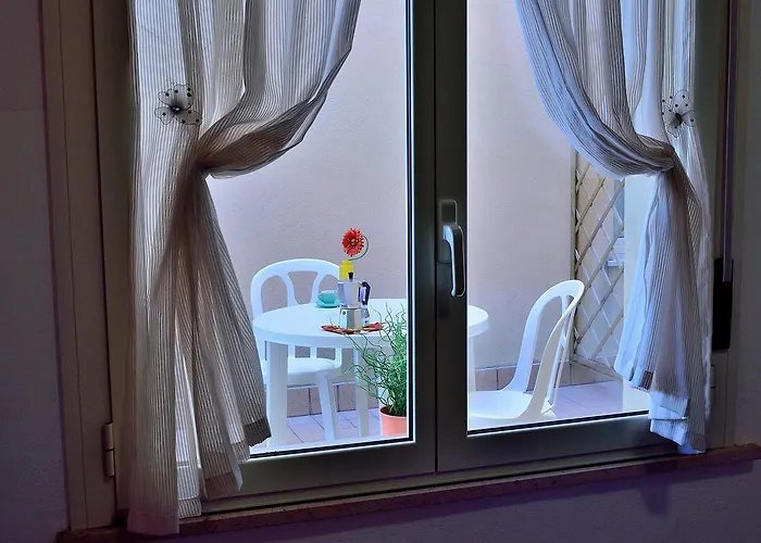 Verbena Ρίμινι