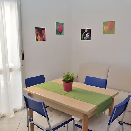 Verbena