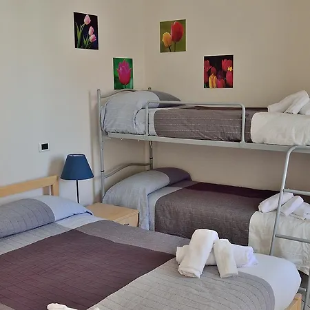 Verbena 3*